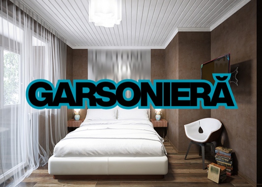Curățenie GARSONIERĂ